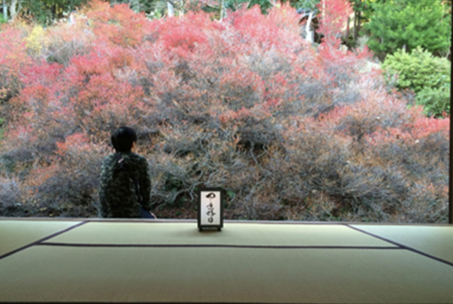 メンバーサムネイル